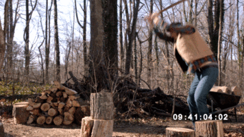 1654625977983.gif
