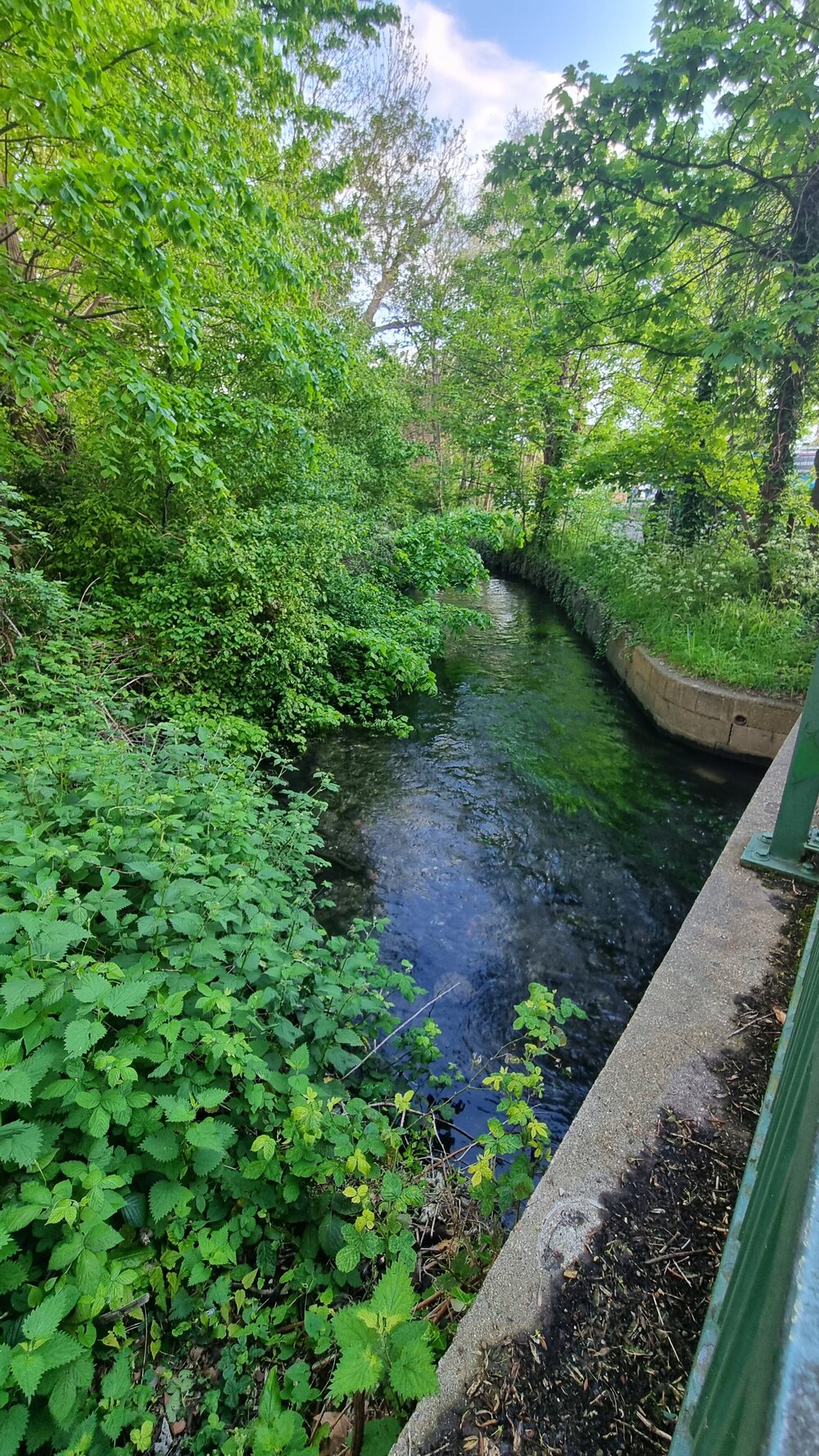 20240504_190007.jpg