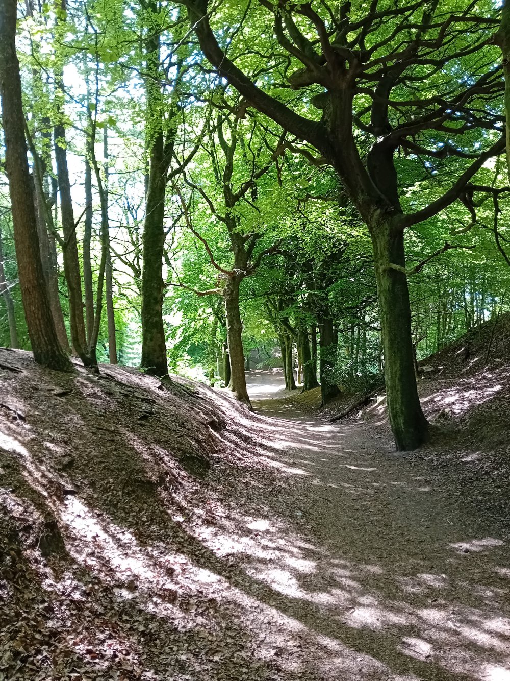 20250511_113123.jpg