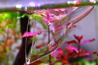 IMG_0644.JPG
