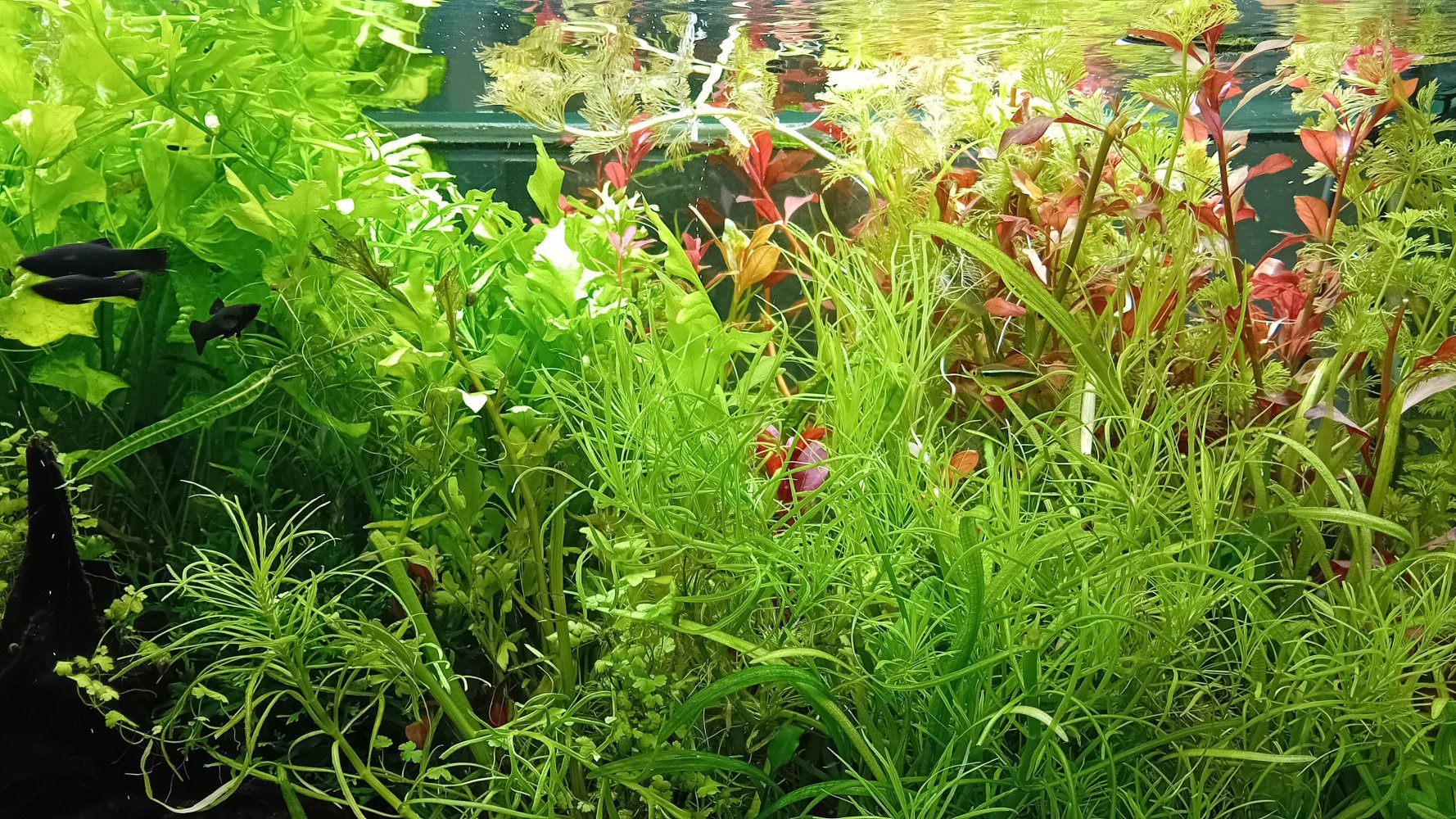 20260608_082815.jpg