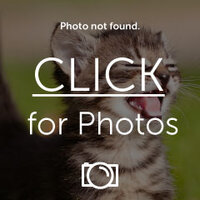 IMG_1800_zpsb644c4ee.jpg IMG_1800_zpsb644c4ee.jpg