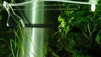 feb20122093.jpg