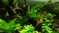 feb20122695.jpg feb20122695.jpg