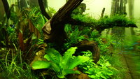 feb20122702.jpg