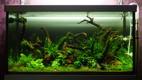feb20122690.jpg feb20122690.jpg