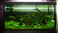 feb20122090.jpg