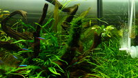 feb20122015.jpg