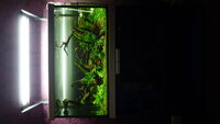 feb20122679.jpg feb20122679.jpg