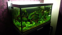 feb20122094.jpg