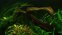 feb20122678.jpg feb20122678.jpg