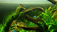 feb20122693.jpg feb20122693.jpg