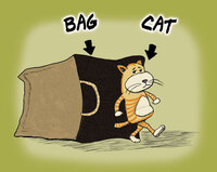 catbag.jpg catbag.jpg