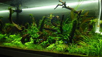feb20122032.jpg