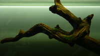 feb20122681.jpg feb20122681.jpg