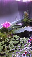 DSCF5335 (Kopie).JPG