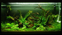 feb20122025.jpg