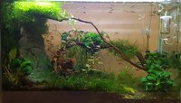 fluval-spec-19l.jpg