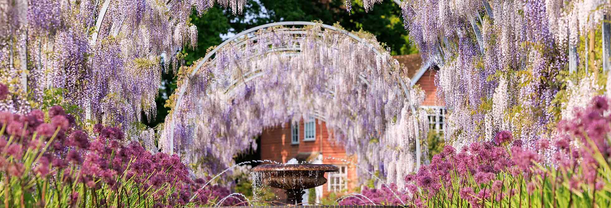www.rhs.org.uk