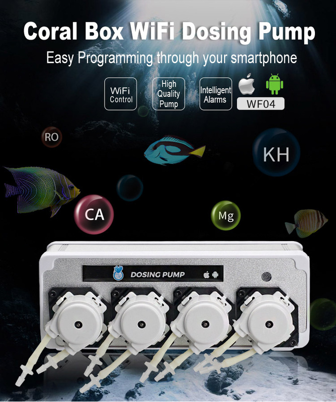 coral-box.com