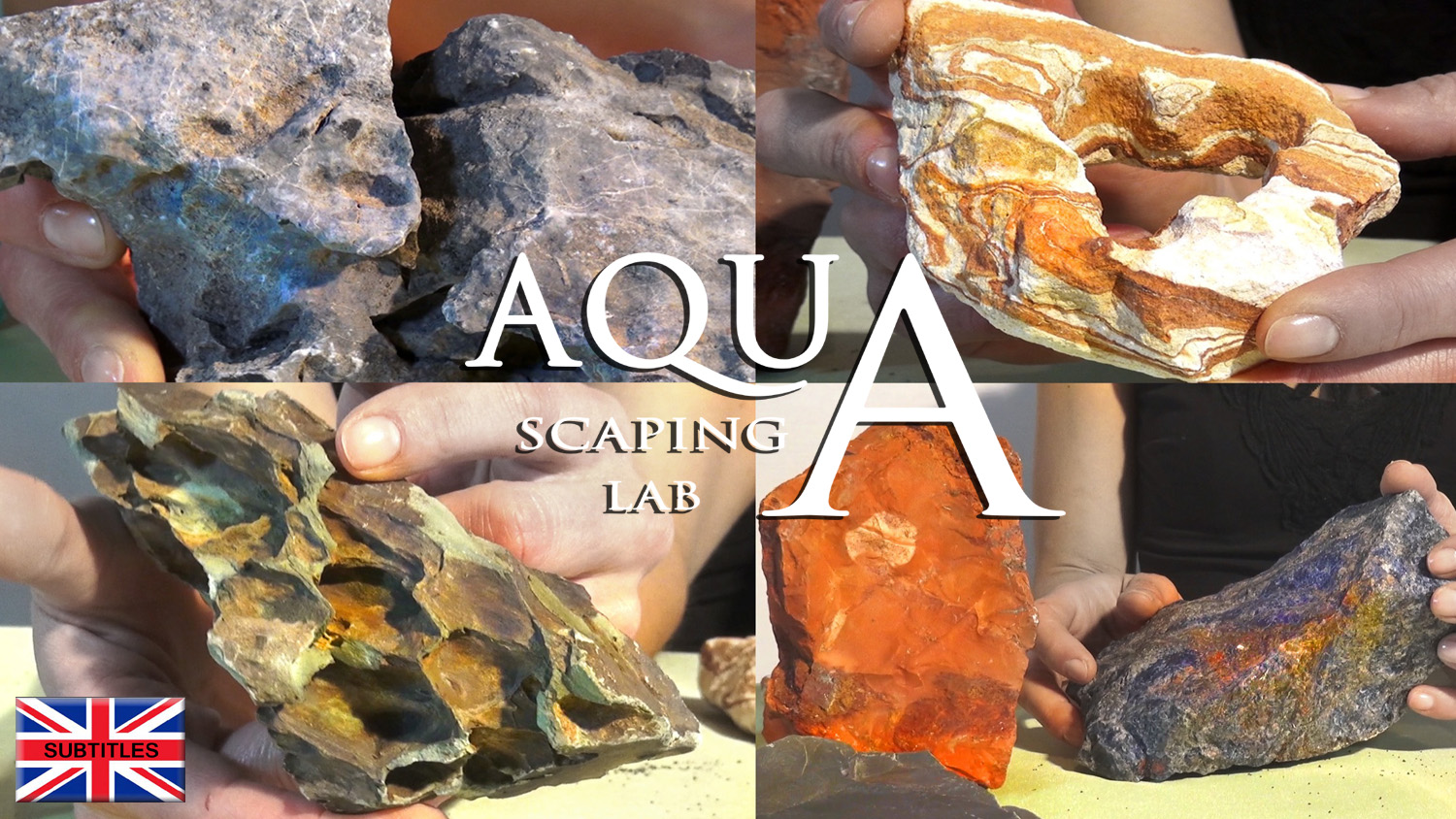 www.aquascapinglab.com